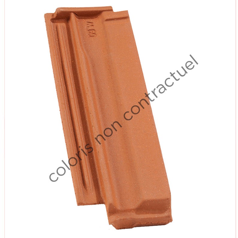 1/2 tuile gauche LOSANGEE Ste Foy Rouge Nuancé