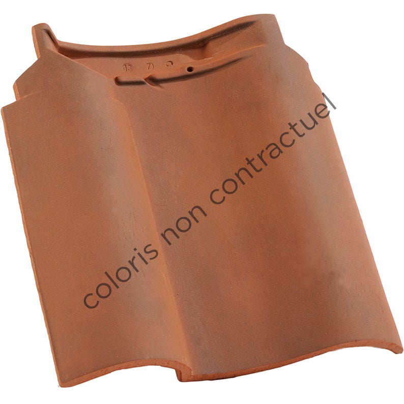 Tuile double bourrelet PANNE S Flammé Rustique