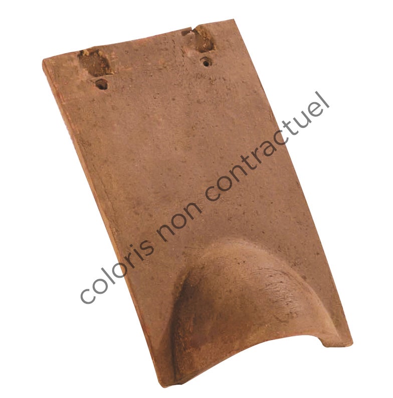 Tuile châtière passe-barre 16x27 Rustique