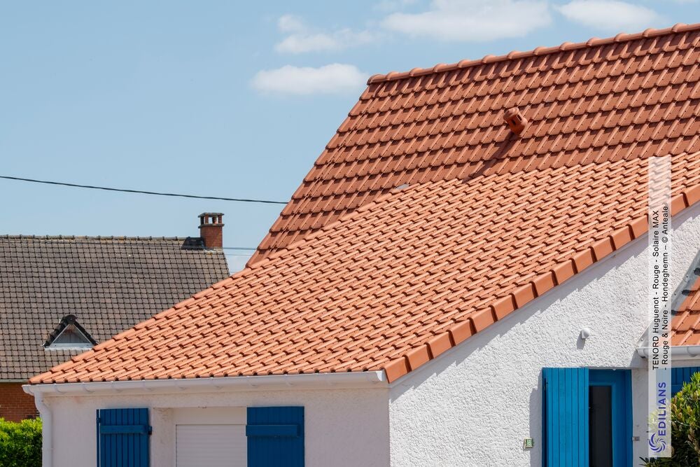 Toiture tuiles faiblement galbées