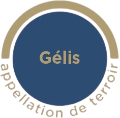 Gélis